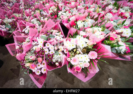 Bedfordshire, UK. 13. März 2015. Eine Masse von bunten Blumen sind im Verkauf bei Savin Blume Großhändler in der Nähe von Sandy, Bedfordshire in Bereitschaft zum Muttertag ist am Sonntag, 15. März.  Temperaturgeregelte Lagerraum enthält Tausende von Blumen und Blumensträuße für die Verteilung an lokalen Floristen und Einzelhändler in Bereitschaft für den erwarteten Ansturm auf Blumen wie an diesem Wochenende präsentiert zu kaufen. Bildnachweis: Julian Eales/Alamy Live-Nachrichten Stockfoto