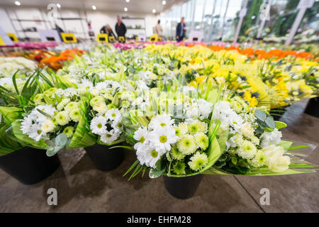 Bedfordshire, UK. 13. März 2015. Eine Masse von bunten Blumen sind im Verkauf bei Savin Blume Großhändler in der Nähe von Sandy, Bedfordshire in Bereitschaft zum Muttertag ist am Sonntag, 15. März.  Temperaturgeregelte Lagerraum enthält Tausende von Blumen und Blumensträuße für die Verteilung an lokalen Floristen und Einzelhändler in Bereitschaft für den erwarteten Ansturm auf Blumen wie an diesem Wochenende präsentiert zu kaufen. Bildnachweis: Julian Eales/Alamy Live-Nachrichten Stockfoto