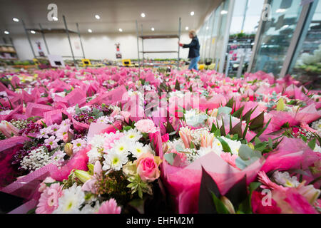 Bedfordshire, UK. 13. März 2015. Eine Masse von bunten Blumen sind im Verkauf bei Savin Blume Großhändler in der Nähe von Sandy, Bedfordshire in Bereitschaft zum Muttertag ist am Sonntag, 15. März.  Temperaturgeregelte Lagerraum enthält Tausende von Blumen und Blumensträuße für die Verteilung an lokalen Floristen und Einzelhändler in Bereitschaft für den erwarteten Ansturm auf Blumen wie an diesem Wochenende präsentiert zu kaufen. Bildnachweis: Julian Eales/Alamy Live-Nachrichten Stockfoto