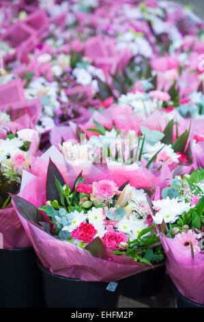 Bedfordshire, UK. 13. März 2015. Eine Masse von bunten Blumen sind im Verkauf bei Savin Blume Großhändler in der Nähe von Sandy, Bedfordshire in Bereitschaft zum Muttertag ist am Sonntag, 15. März.  Temperaturgeregelte Lagerraum enthält Tausende von Blumen und Blumensträuße für die Verteilung an lokalen Floristen und Einzelhändler in Bereitschaft für den erwarteten Ansturm auf Blumen wie an diesem Wochenende präsentiert zu kaufen. Bildnachweis: Julian Eales/Alamy Live-Nachrichten Stockfoto