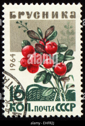 UdSSR - CIRCA 1964: Briefmarke gedruckt in der UdSSR Stockfoto