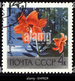 UdSSR - ca. 1969: Briefmarke gedruckt in der UdSSR Stockfoto