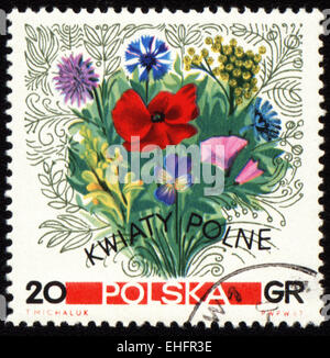 Polen - CIRCA 1967: Briefmarke gedruckt in Polen Stockfoto