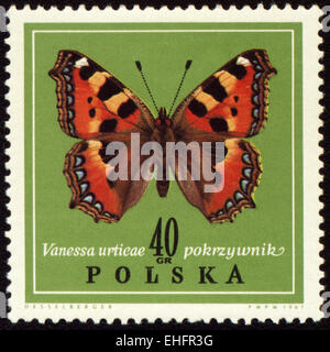 Polen - CIRCA 1967: Briefmarke gedruckt in Polen zeigt Schmetterling Vanessa urtieae Stockfoto