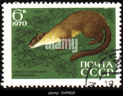 UdSSR - CIRCA 1970: Briefmarke gedruckt in USSR zeigt Baummarder Stockfoto