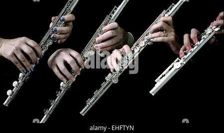 Flöten Quartett, Großaufnahme auf Hände mit schwarzem Hintergrund. Hände auf meine Querflöte, viele Flötisten. Querflöte Jazz-Quartett. Klassische Querflöte Quartett Stockfoto