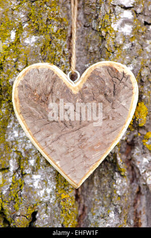 Herz auf Baumrinde aus Holz geschnitzt, als Symbol für die Liebe Stockfoto