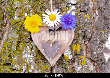 Herz auf Baumrinde aus Holz geschnitzt, als Symbol für die Liebe Stockfoto