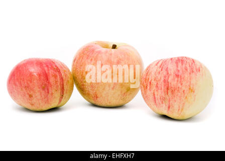 Rote reifen Äpfeln isoliert auf weißem Hintergrund Stockfoto