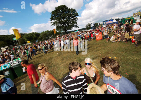 Breite Schuss des Big Chill Festival 2008. Stockfoto