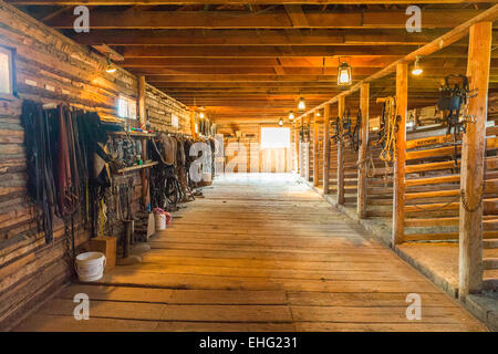 Ställe in Fort Steele Erbe Stadt in der Region Ost Kootenay von British Columbia, Kanada Stockfoto