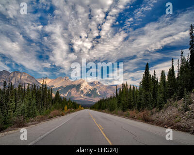 Straße in Banff Nationalpark, Alberta, Kanada Stockfoto