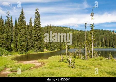 Bridal See, befindet sich auf dem Gipfel von Salmo Creston, Stagleap Provincial Park in der Nähe von Highway 3 in den Kootenay Rockies, BC, Kanada Stockfoto