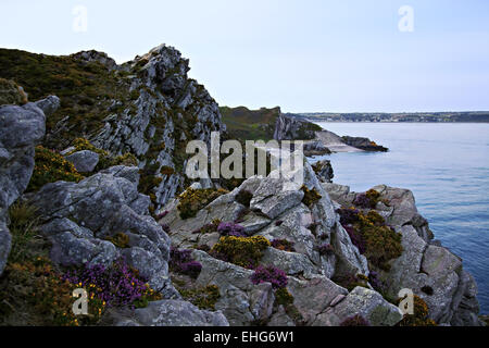 Naturschutzgebiet Cap Erquy, Bretagne, Frankreich Stockfoto