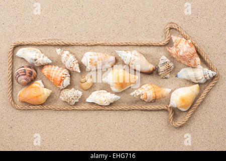 Zeiger des Seils mit Muscheln, auf dem Sand liegen gemacht Stockfoto