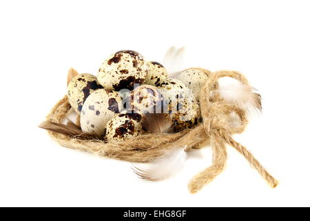 Bunten Eiern im Nest. Stockfoto