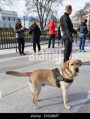 (150313)--WASHINGTON D.C., 13. März 2015 (Xinhua)--Polizeihund Patrouillen rund um das Weiße Haus in Washington, D.C., Hauptstadt der Vereinigten Staaten, 13. März 2015. Für eine US-Bundesbehörde mit einem Namen, der Geheimhaltung suggeriert, ist stellt sich immer wieder im Rampenlicht für negative Berichterstattung eine bittere Ironie. Der Geheimdienst, weithin als das Elite Law Enforcement Team in die Vereinigten Staaten, die den US-Präsidenten schützt und die erste Familie landete selbst in heißem Wasser wieder nach US-Medien Anfang dieser Woche ergab, dass zwei Top Secret-Service durch ein Scen barreled Stockfoto