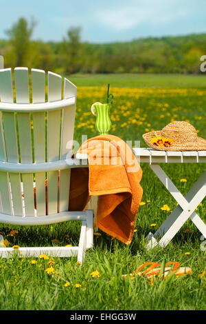 Adirondack Stuhl Gras bereit zum Entspannen Stockfoto