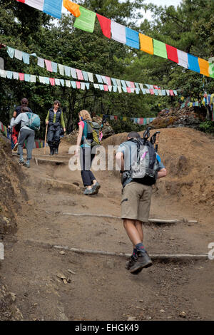 BU00330-00... BHUTAN - Wanderer auf dem oberen Teil des Weges zum Taktshang Goemba, (der Tiger Nest Kloster) gut genutzt. Stockfoto