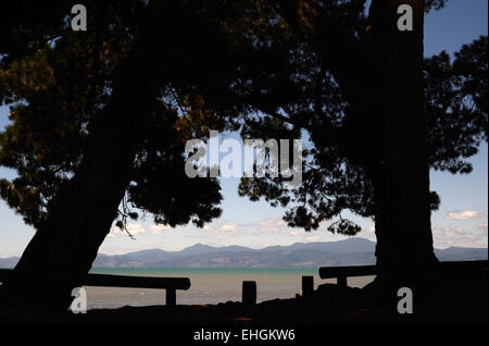 Pinien Rahmen ein Sommertag beim Ruby Bay Picknickplatz in der Nähe von Nelson auf der Südinsel Neuseelands Stockfoto