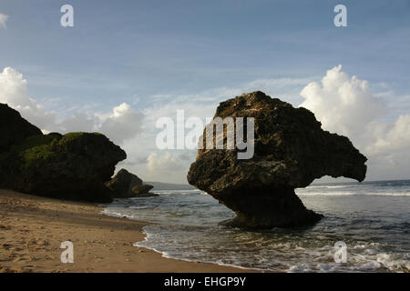 Ausgewaschene Felsen am Strand von Bathsheba Barbados Stockfoto