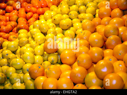 Frisch gepflückten Orangen- und Zitronenbäumen Obst am Marktstand Stockfoto