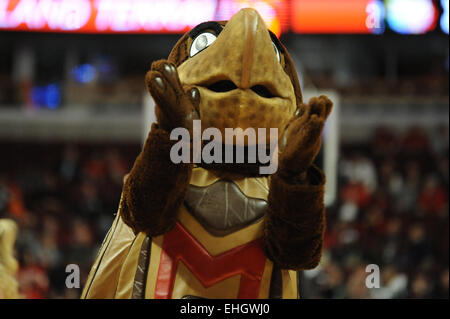 Chicago, IL, USA. 13. März 2015. Maryland Terrapins Maskottchen klatscht bei einem Timeout in der ersten Hälfte während der 2015 große zehn Männer Basketball-Turnier Spiel zwischen Indiana Hoosiers und Maryland Terrapins im United Center in Chicago, IL. Patrick Gorski/CSM/Alamy Live-Nachrichten Stockfoto