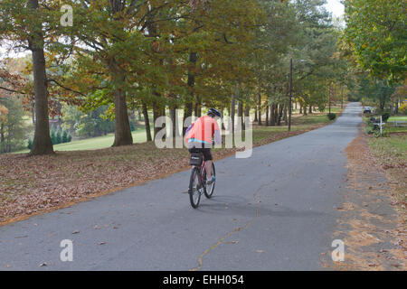 Eine junge Frau fährt mit dem Fahrrad entlang einer Straße, die von Eichen im Herbst Farben begrenzt Stockfoto