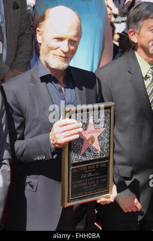 Hollywood, Kalifornien, USA. 12. März 2015. I15744CHW. Ed Harris geehrt mit Stern auf der Hollywood Walk von Fame.6712 Hollywood Boulevard / vor dem historischen Egyptian Theatre, Hollywood, CA.03/13/2015.ED HARRIS. © Clinton H. Wallace/Photomundo/Fotos © Clinton Wallace/Globe Fotos/ZUMA Draht/Alamy Live News Stockfoto