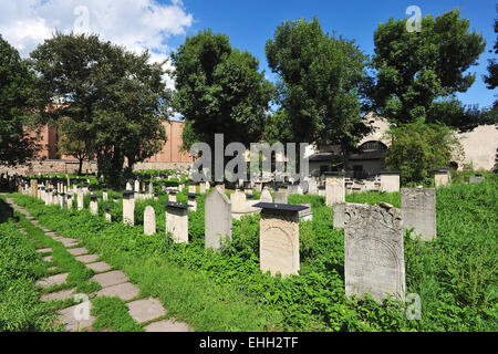 Alte jüdische Friedhof in Kazimierz in Krakau Stockfoto