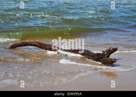 Strand Stockfoto