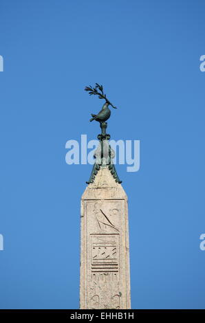 Die Taube von Navona Quadrat Stockfoto