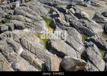 Yangnam säulenförmigen Gelenk ist berühmt für das Lied oder Fan Form. Dies ist der No.536 natürliches Denkmal von Korea. Stockfoto