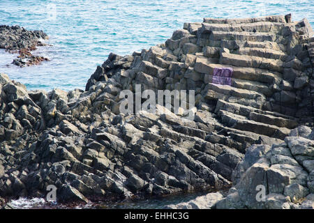 Yangnam säulenförmigen Gelenk ist berühmt für das Lied oder Fan Form. Dies ist der No.536 natürliches Denkmal von Korea. Stockfoto