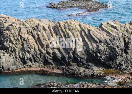 Yangnam säulenförmigen Gelenk ist berühmt für das Lied oder Fan Form. Dies ist der No.536 natürliches Denkmal von Korea. Stockfoto