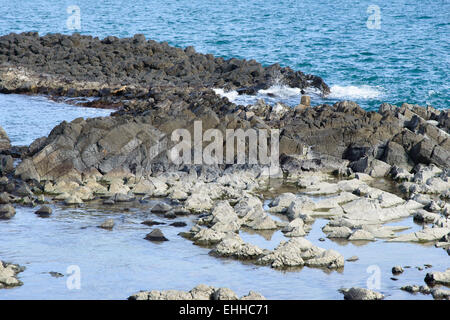 Yangnam säulenförmigen Gelenk ist berühmt für das Lied oder Fan Form. Dies ist der No.536 natürliches Denkmal von Korea. Stockfoto