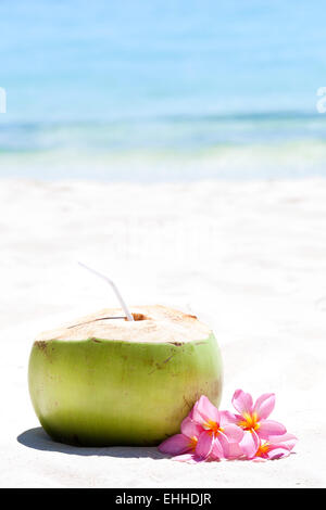 Tropische frische Kokosnuss cocktail dekorierten Plumeria am weißen Strand Stockfoto