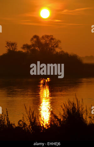 Sonnenlicht Stockfoto