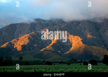 Malerische Berglandschaft mit Weinbergen, Western Cape, Südafrika Stockfoto