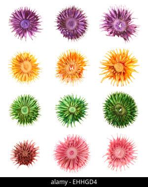 Getrocknete Potpourri Potpourri Blumen isoliert Stockfoto