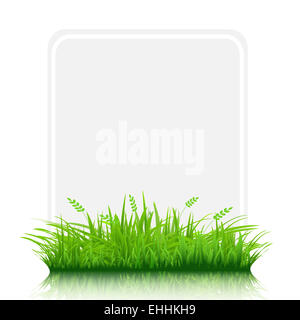 Grass-Grenze mit Papier leer Geschenkanhänger Stockfoto