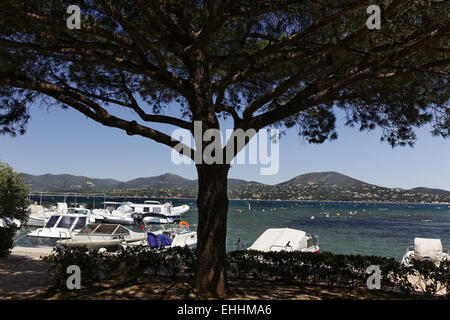 Golf von Saint Tropez, Côte d ' Azur, Frankreich Stockfoto