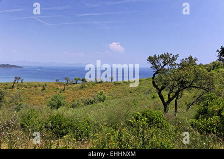 Cap Camarat, Landschaft, Cote d ' Azur Stockfoto