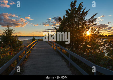 Die untergehende Sonne über dem See bricht durch Äste der Bäume Stockfoto