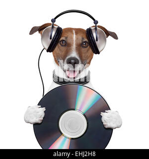 Musik Kopfhörer cd Hund Stockfoto