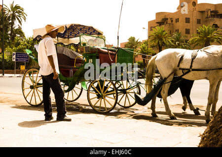 Marokkanischen Fahrer stand neben seinem Caleche warten auf den nächsten Kunden in Marrakesch, Marokko. Stockfoto