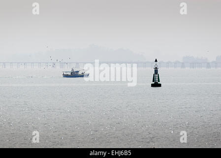 Blick auf Fischerboot mit vielen Möwen füttern am Heck des Bootes wieder. Stockfoto