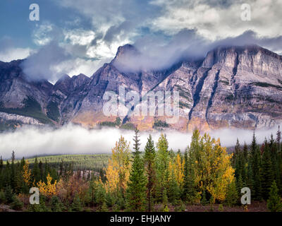 Nebel und niedrige Wolken mit Herbstfarben. Banff Nationalpark. Alberta, Kanada Stockfoto