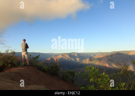 Mann auf der Suche über Waimea Canyon, der Insel Kauai, Hawaii Stockfoto