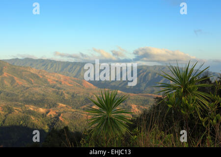 Blick über Waimea Canyon, der Insel Kauai, Hawaii Stockfoto